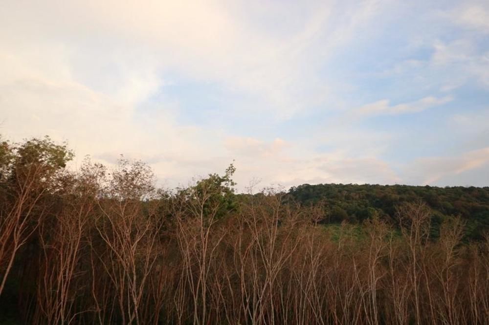 Cottage Hill At Lanta Ko Lanta エクステリア 写真